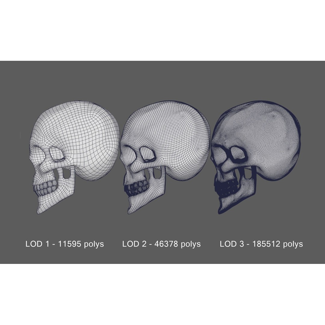 Stylized Human Skull 3D Model – Low Poly PBR Asset, FBX & OBJ Formats
