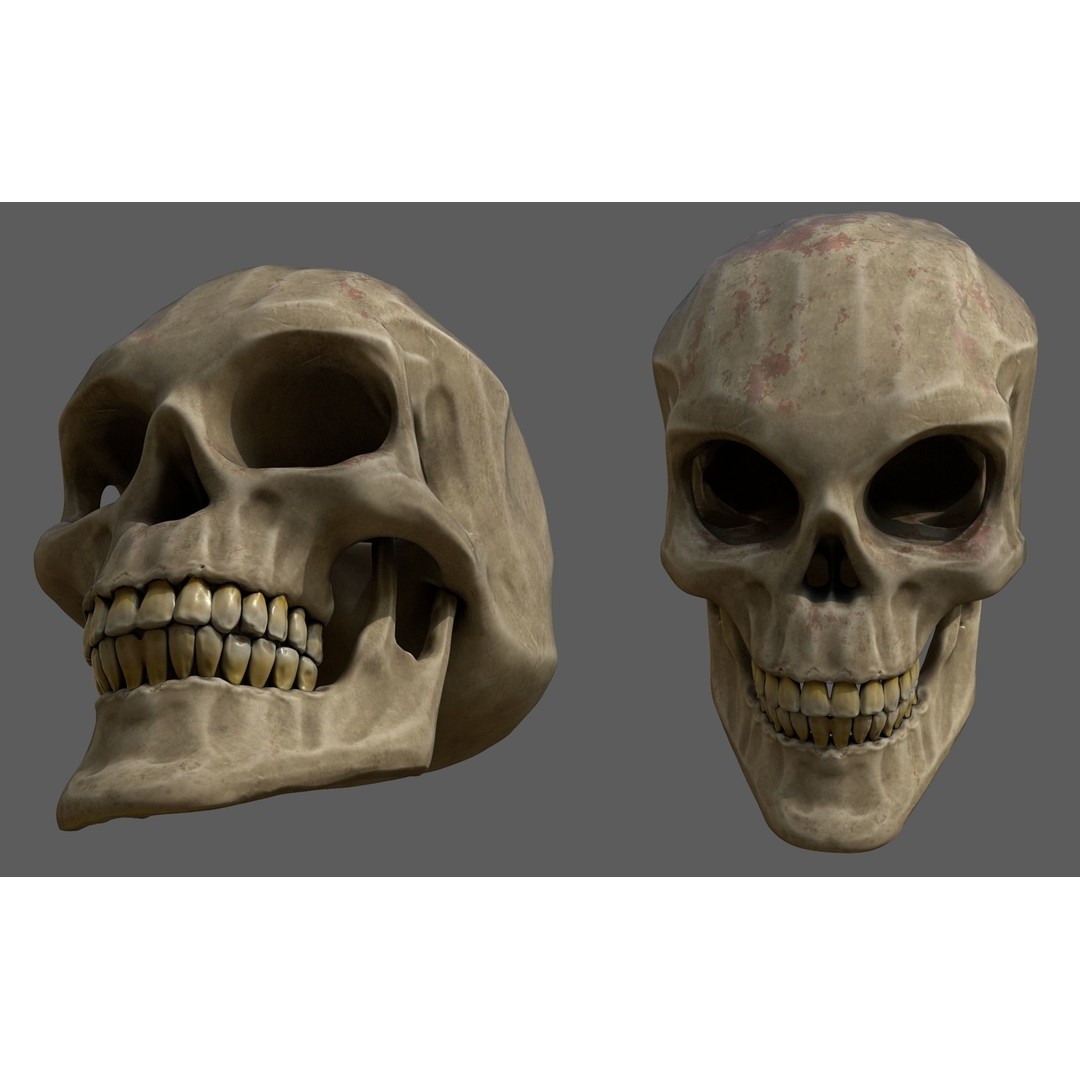 Stylized Human Skull 3D Model – Low Poly PBR Asset, FBX & OBJ Formats - View 4