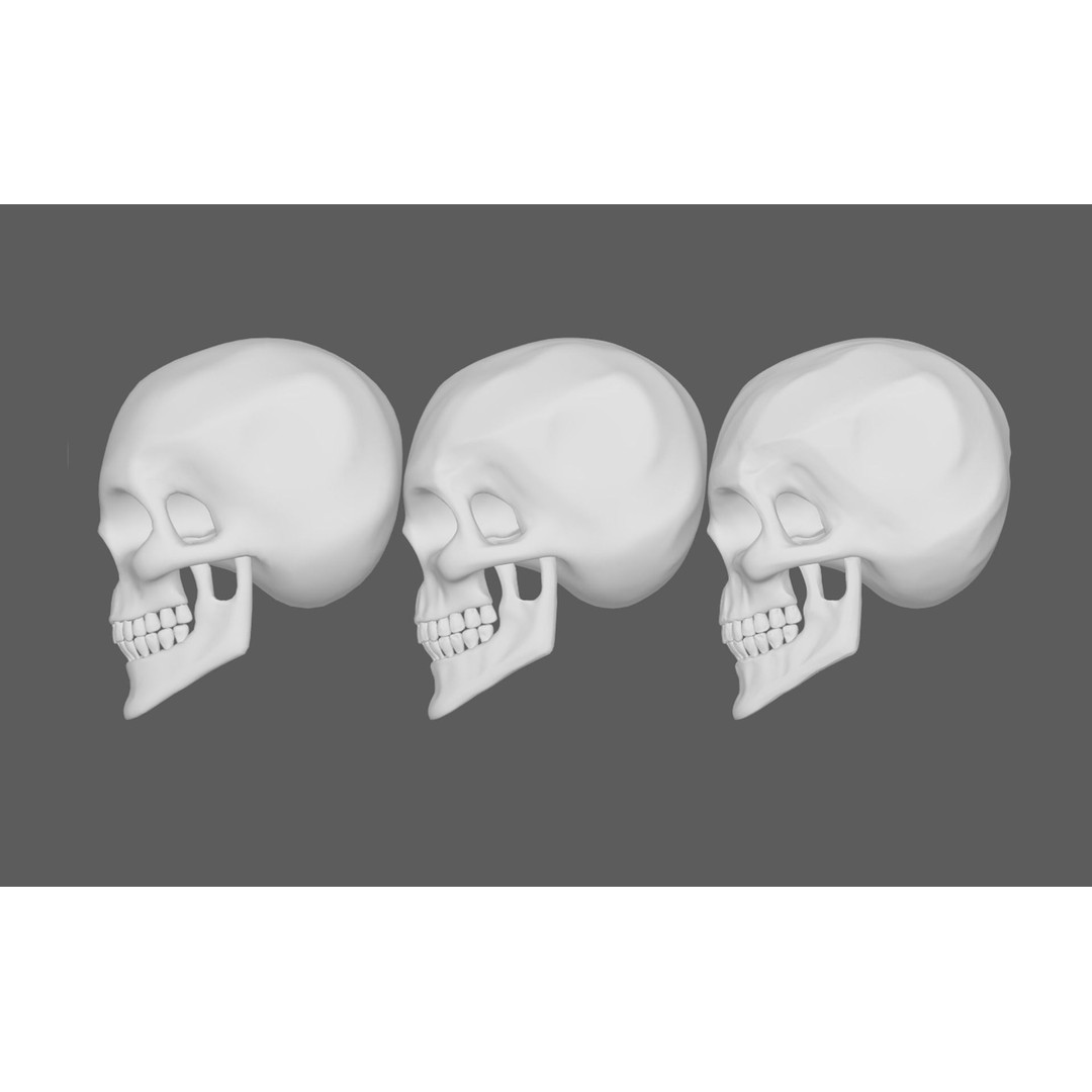 Stylized Human Skull 3D Model – Low Poly PBR Asset, FBX & OBJ Formats - View 7