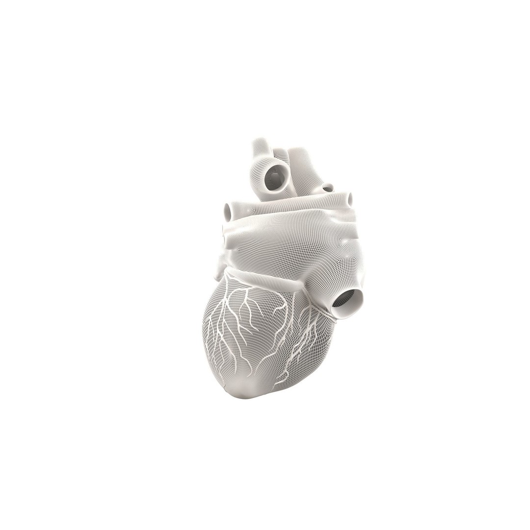 Human Heart 3D Model – High Poly Anatomical Asset for Games - View 13