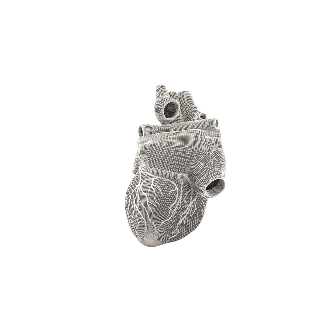 Human Heart 3D Model – High Poly Anatomical Asset for Games - View 14