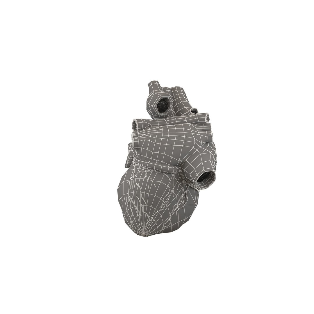 Human Heart 3D Model – High Poly Anatomical Asset for Games - View 16