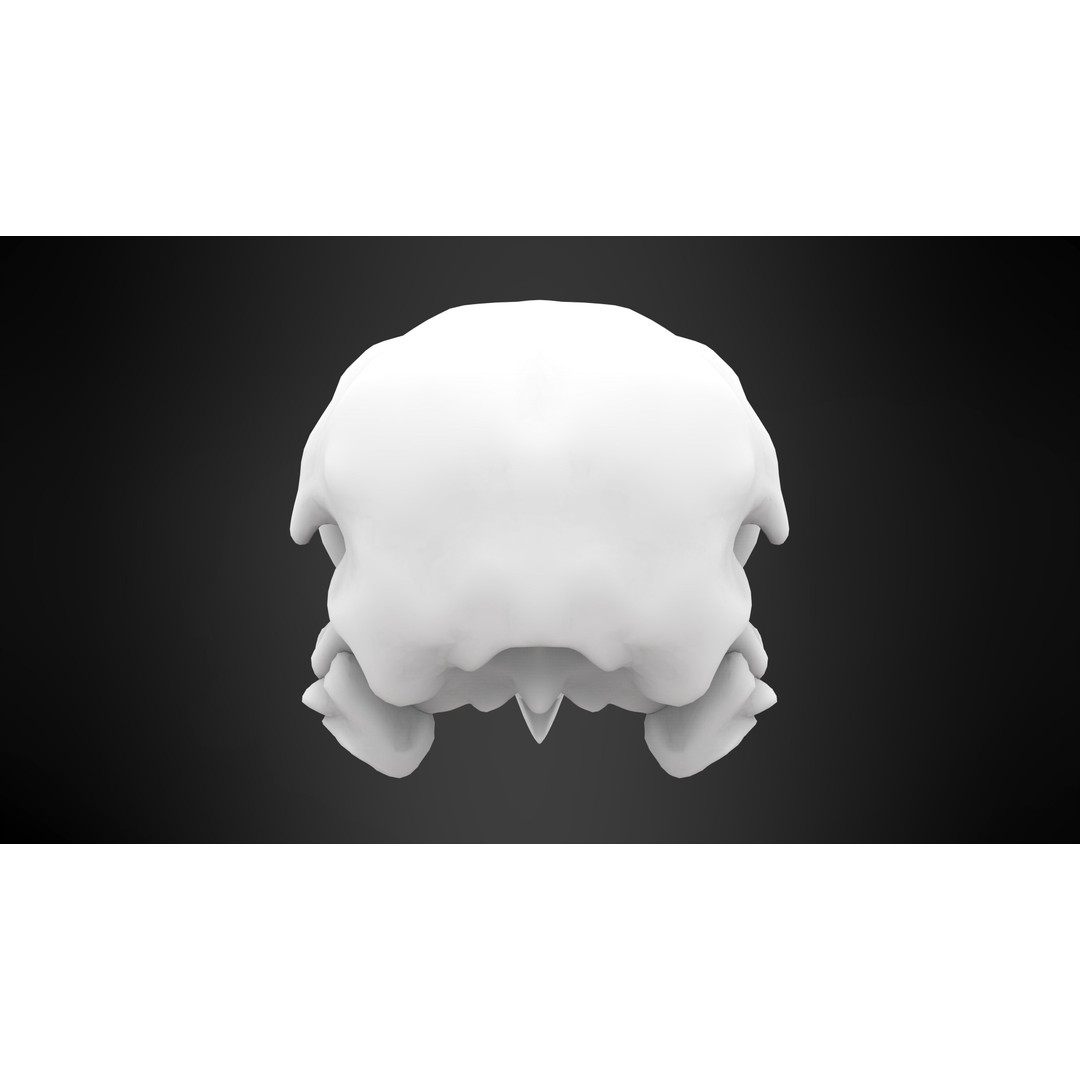 Hippogriff Skull 3D Model – High Poly PBR Asset, Blender, FBX, OBJ - View 10