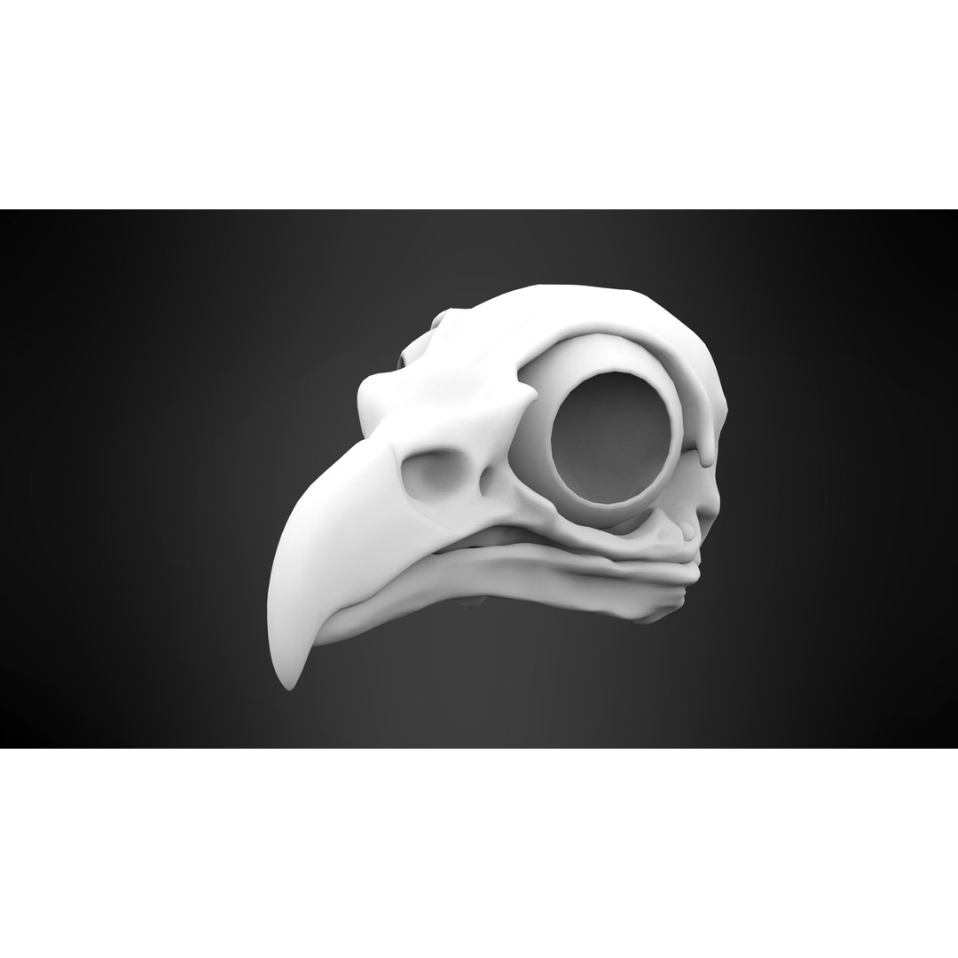 Hippogriff Skull 3D Model – High Poly PBR Asset, Blender, FBX, OBJ - View 7