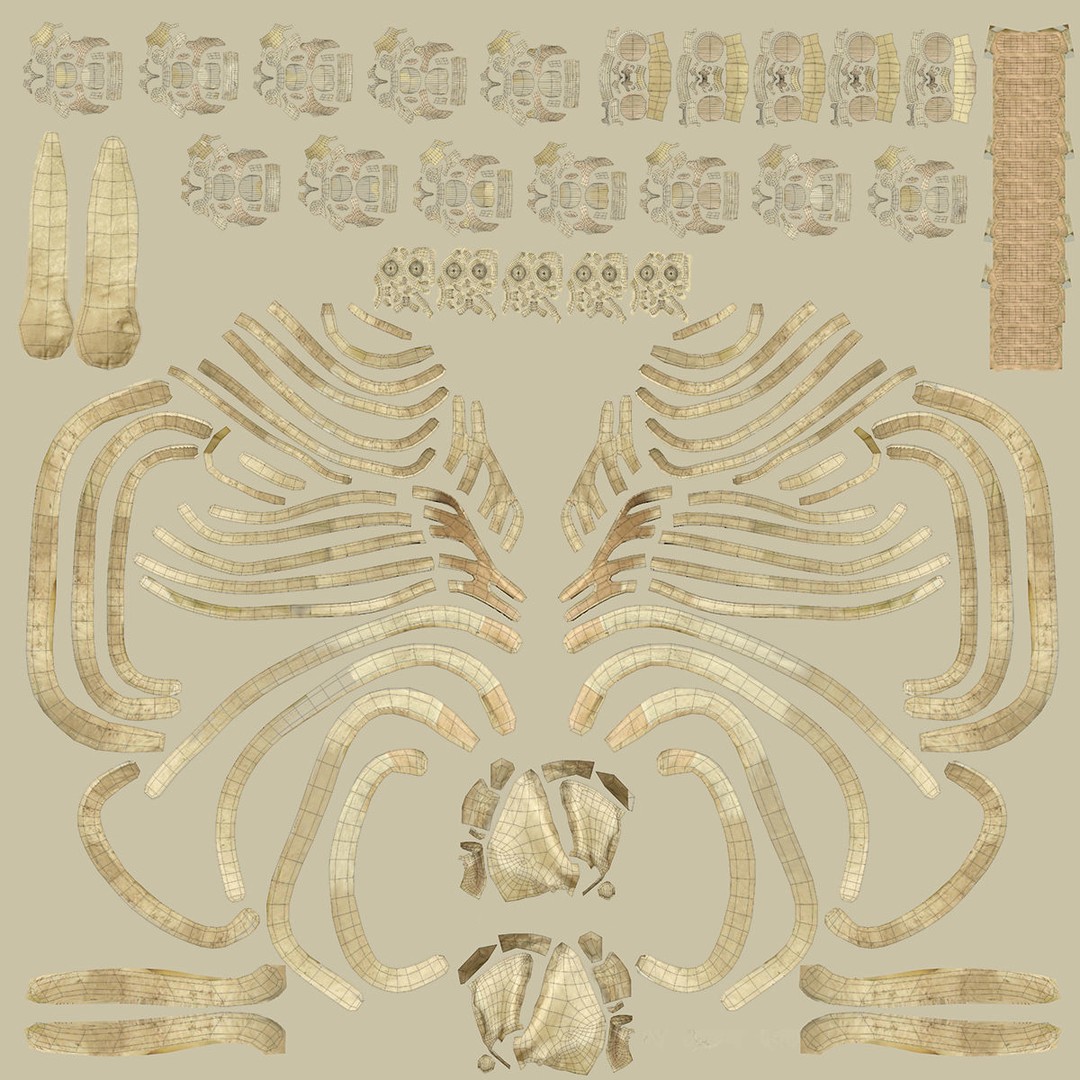 Full Body Skeleton 3D Model – Rigged and Ready for Animation, Maya - View 25
