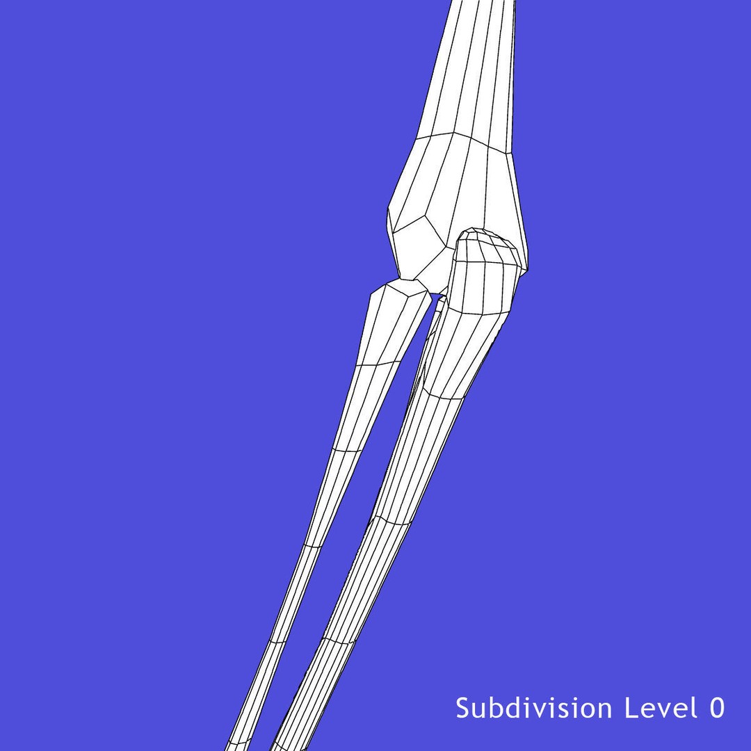 Full Body Skeleton 3D Model – Rigged and Ready for Animation, Maya - View 30