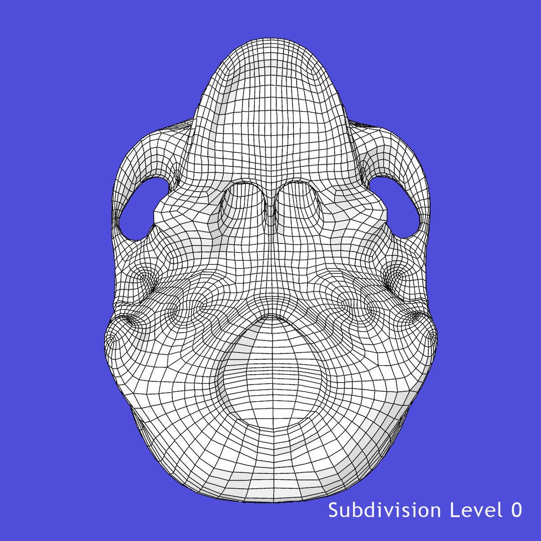 Full Body Skeleton 3D Model – Rigged and Ready for Animation, Maya - View 38