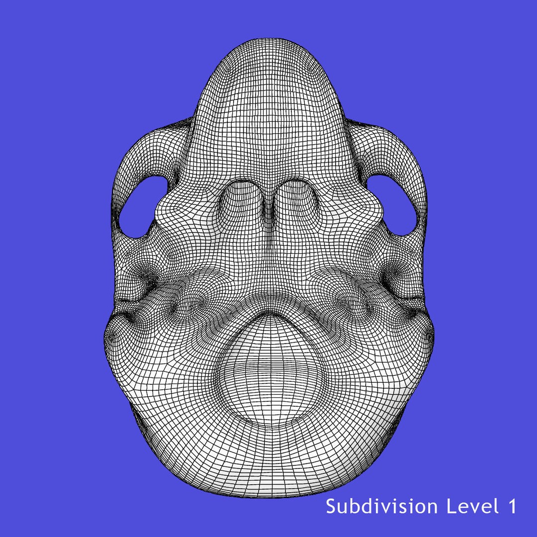 Full Body Skeleton 3D Model – Rigged and Ready for Animation, Maya - View 39