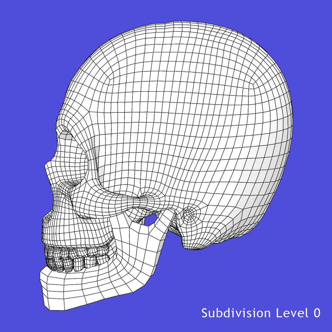 Full Body Skeleton 3D Model – Rigged and Ready for Animation, Maya - View 42