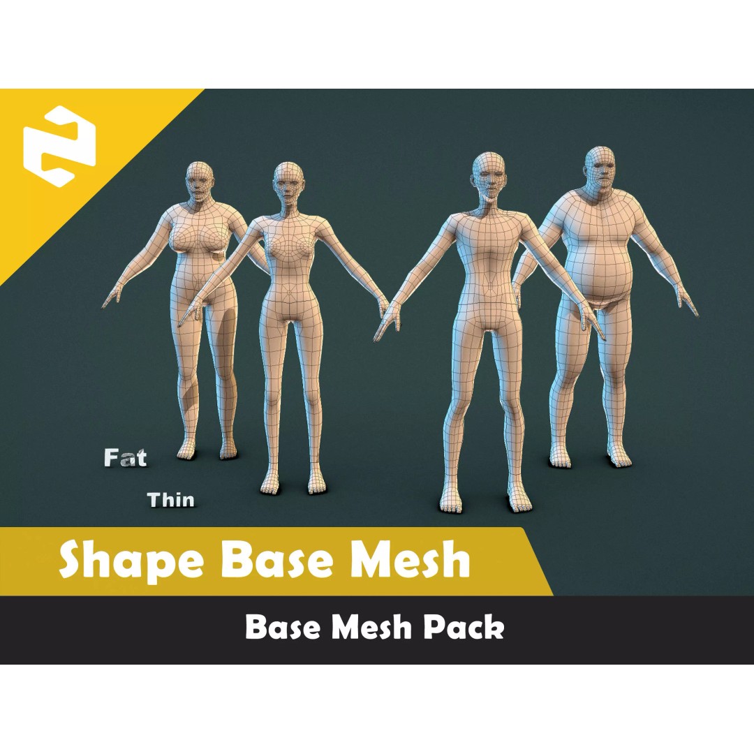Base Mesh Pack 3D Model – Low Poly Character Anatomy with Rigging