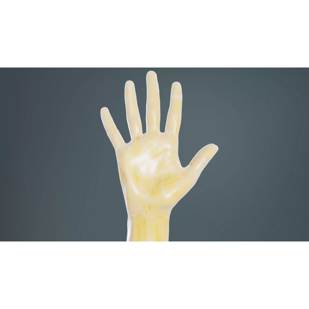 Realistic Hand 3D Model – Low Poly Standard Pose with PBR Textures - View 11