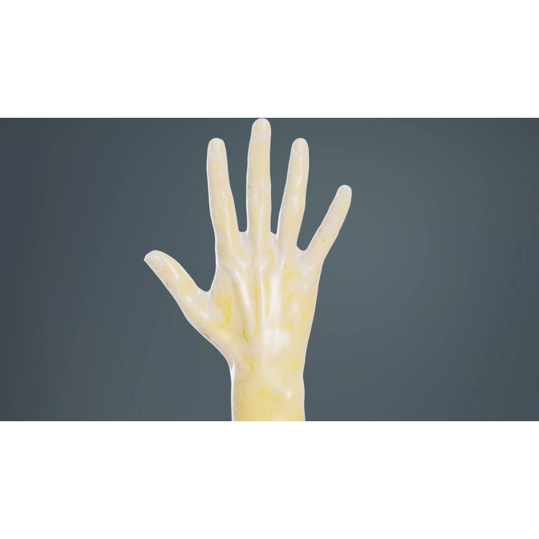 Realistic Hand 3D Model – Low Poly Standard Pose with PBR Textures - View 12
