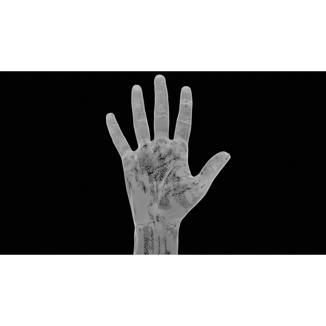 Realistic Hand 3D Model – Low Poly Standard Pose with PBR Textures - View 13