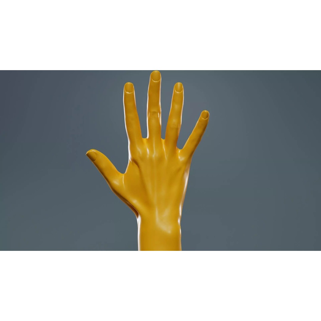 Realistic Hand 3D Model – Low Poly Standard Pose with PBR Textures - View 15