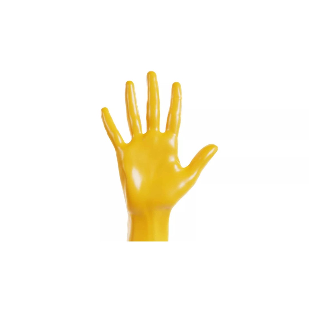 Realistic Hand 3D Model – Low Poly Standard Pose with PBR Textures - View 2