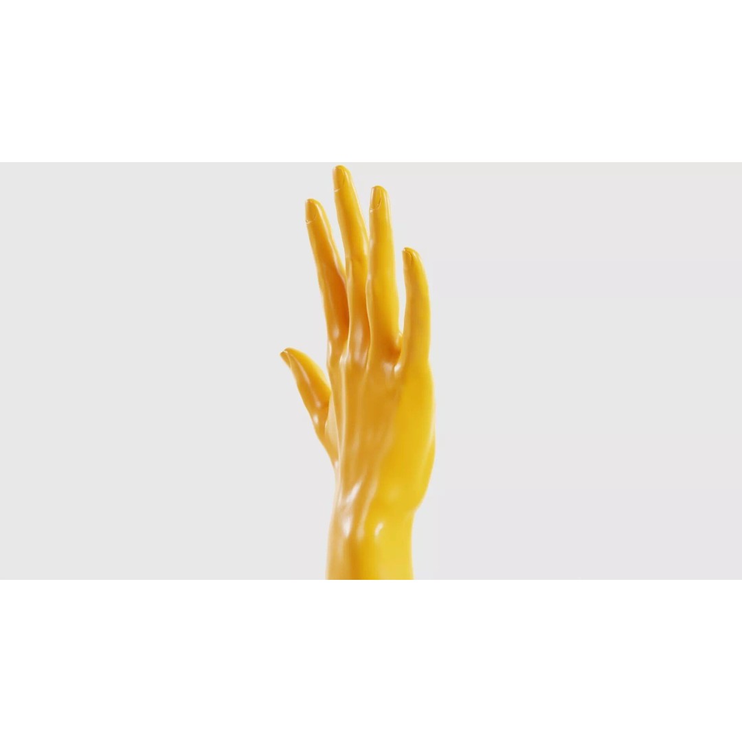 Realistic Hand 3D Model – Low Poly Standard Pose with PBR Textures - View 20