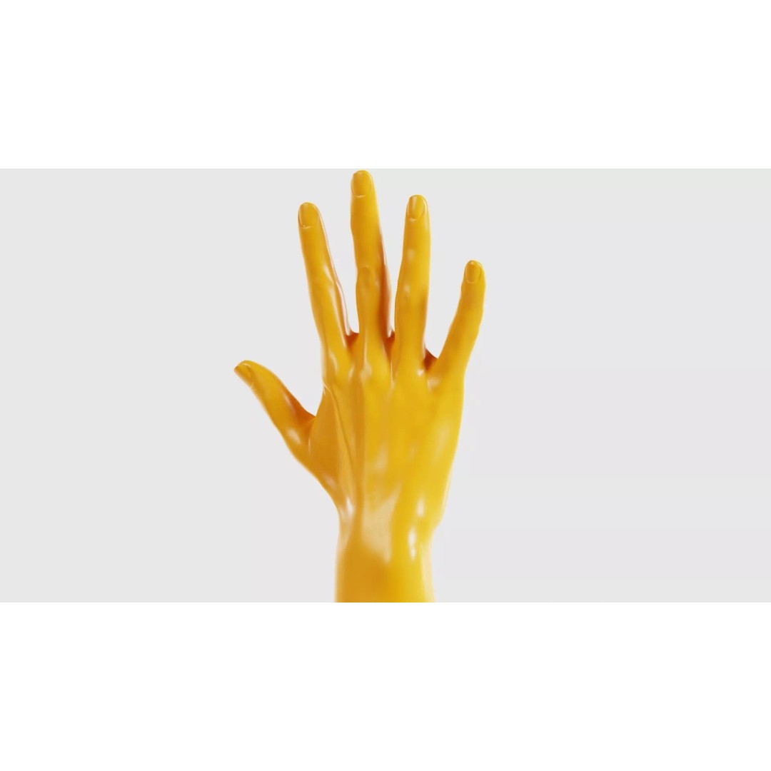 Realistic Hand 3D Model – Low Poly Standard Pose with PBR Textures - View 21