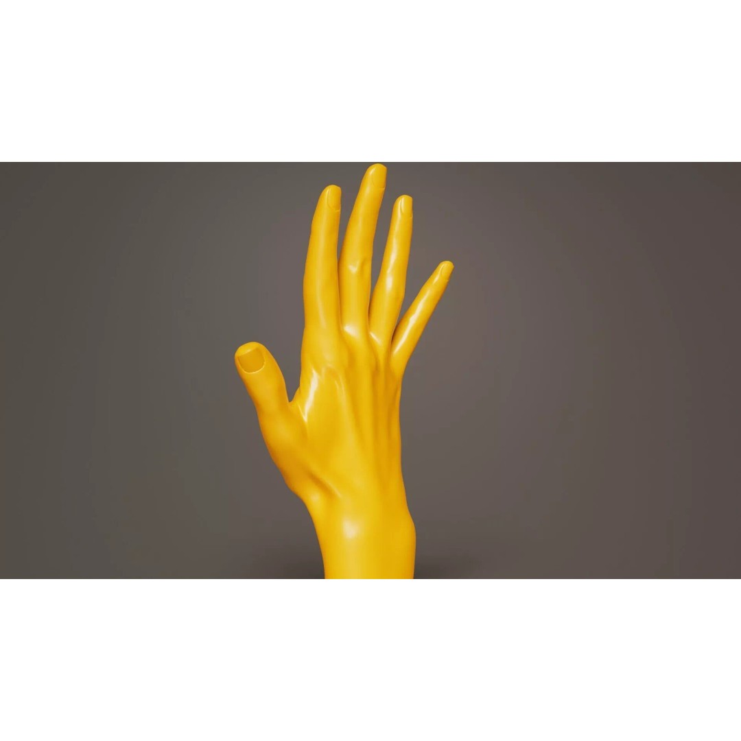 Realistic Hand 3D Model – Low Poly Standard Pose with PBR Textures - View 4