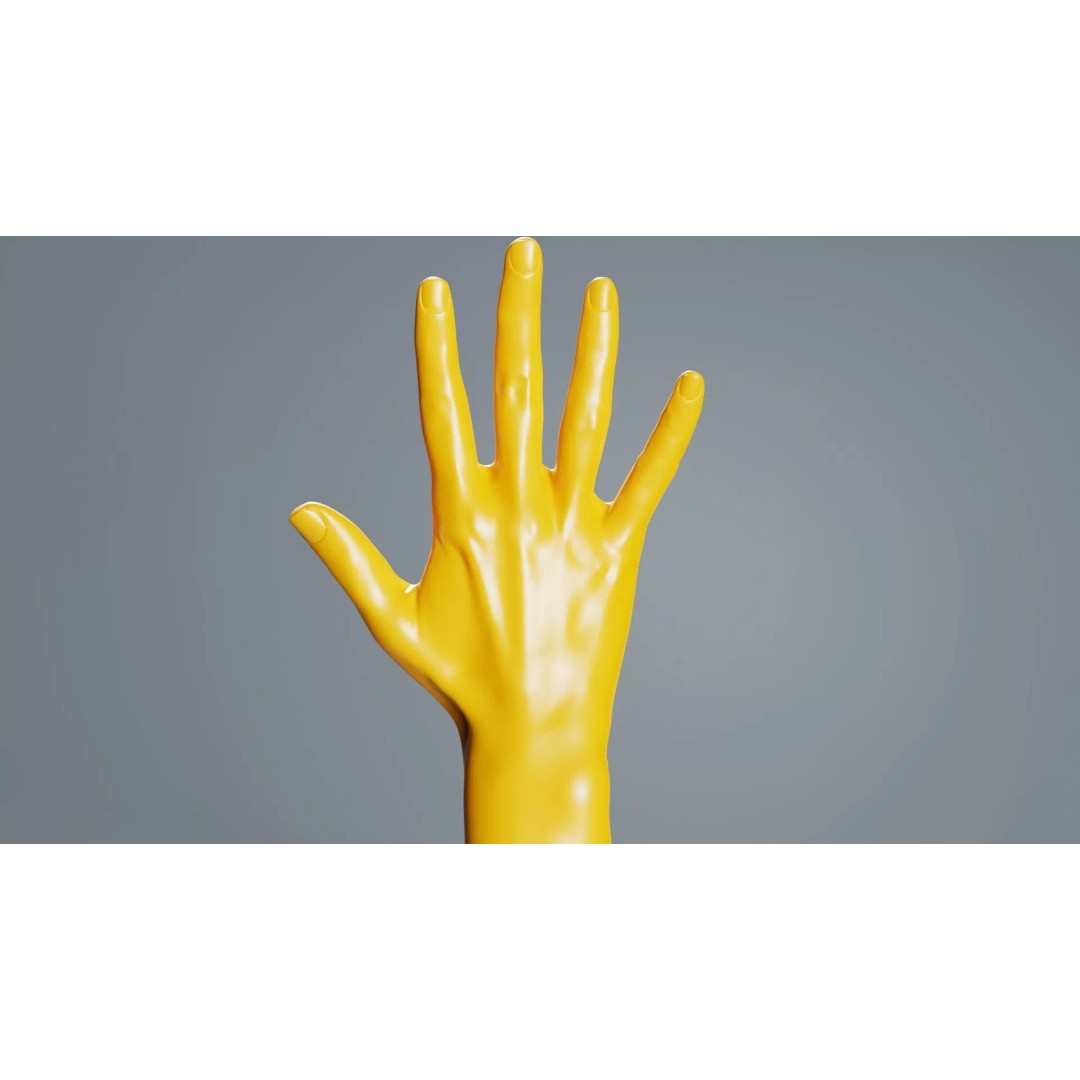 Realistic Hand 3D Model – Low Poly Standard Pose with PBR Textures - View 6