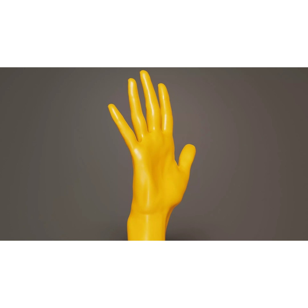 Realistic Hand 3D Model – Low Poly Standard Pose with PBR Textures - View 7