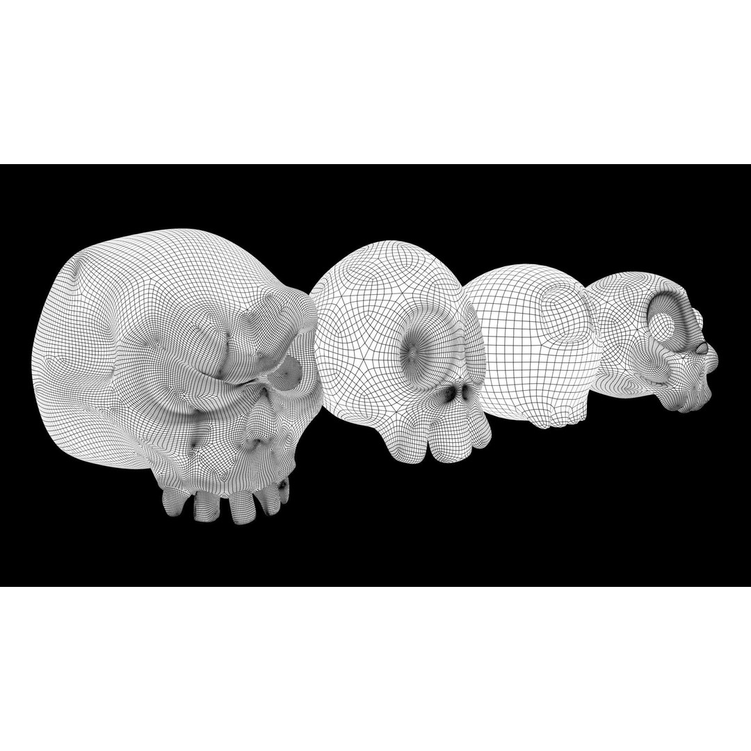 Toon Skull 3D Model – Low Poly Cartoon Skull Pack, Game Ready - View 8