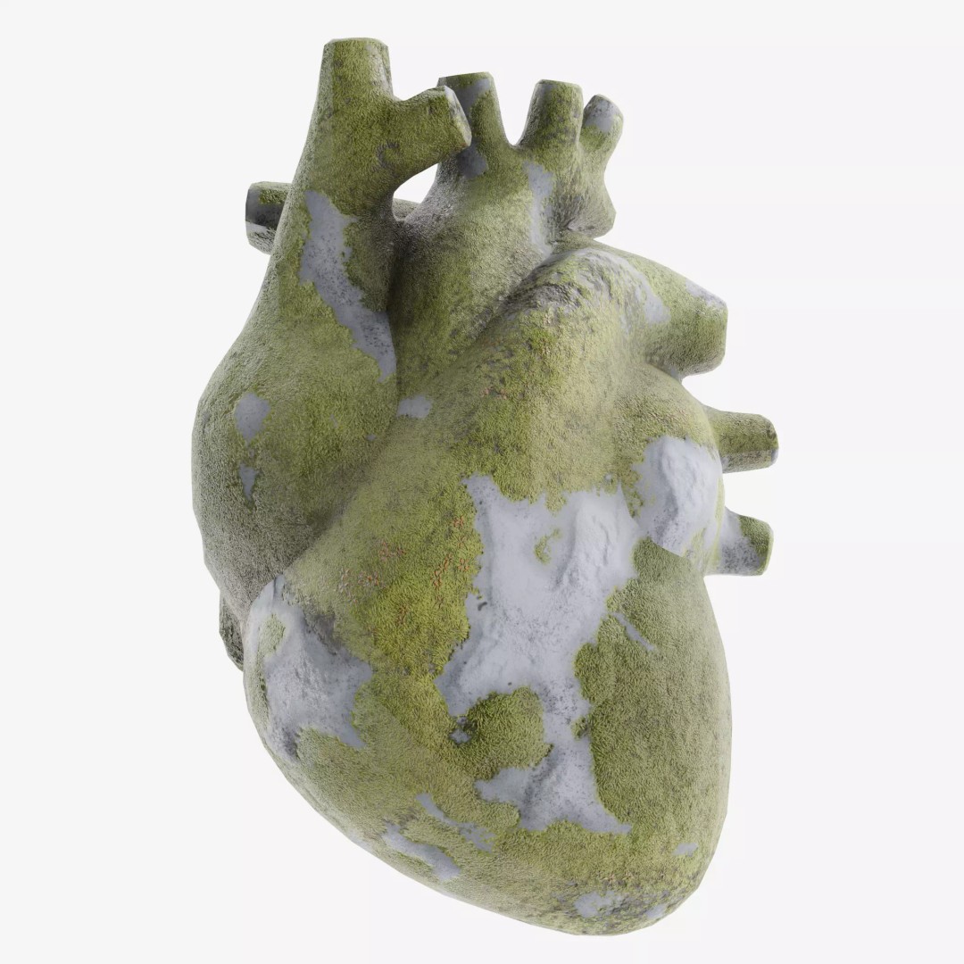 Stone Heart 3D Model – Low Poly Anatomical Character, FBX - View 2