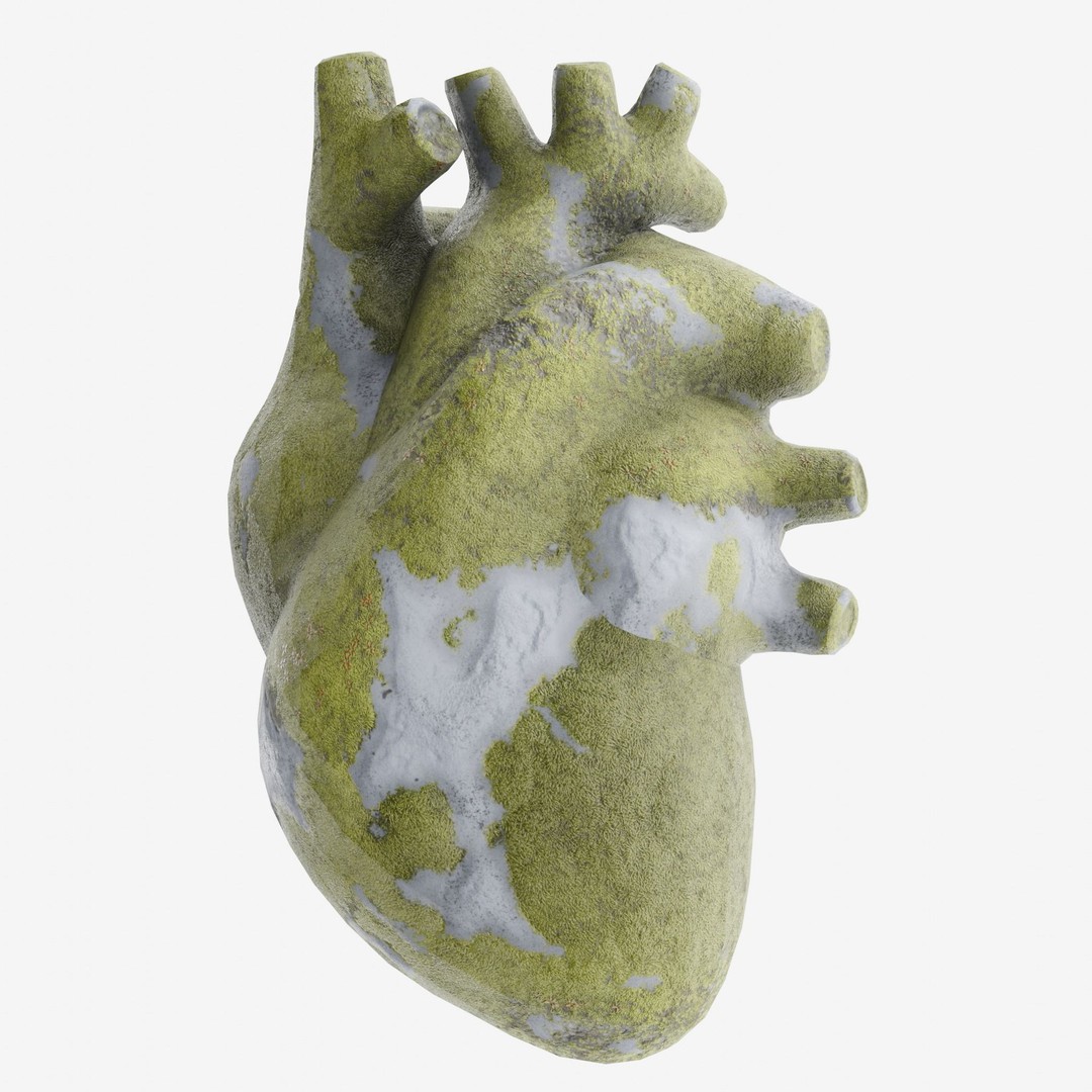 Stone Heart 3D Model – Low Poly Anatomical Character, FBX - View 3