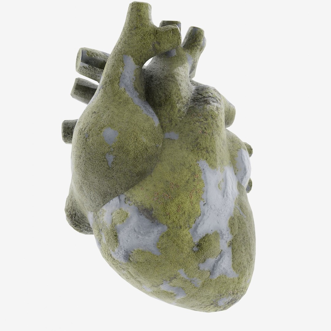 Stone Heart 3D Model – Low Poly Anatomical Character, FBX - View 4