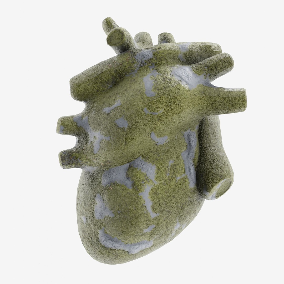 Stone Heart 3D Model – Low Poly Anatomical Character, FBX - View 5