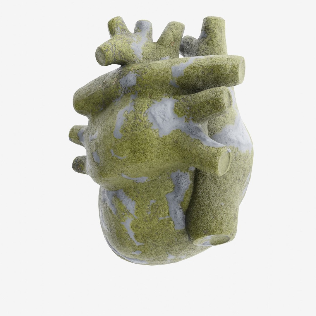 Stone Heart 3D Model – Low Poly Anatomical Character, FBX - View 6