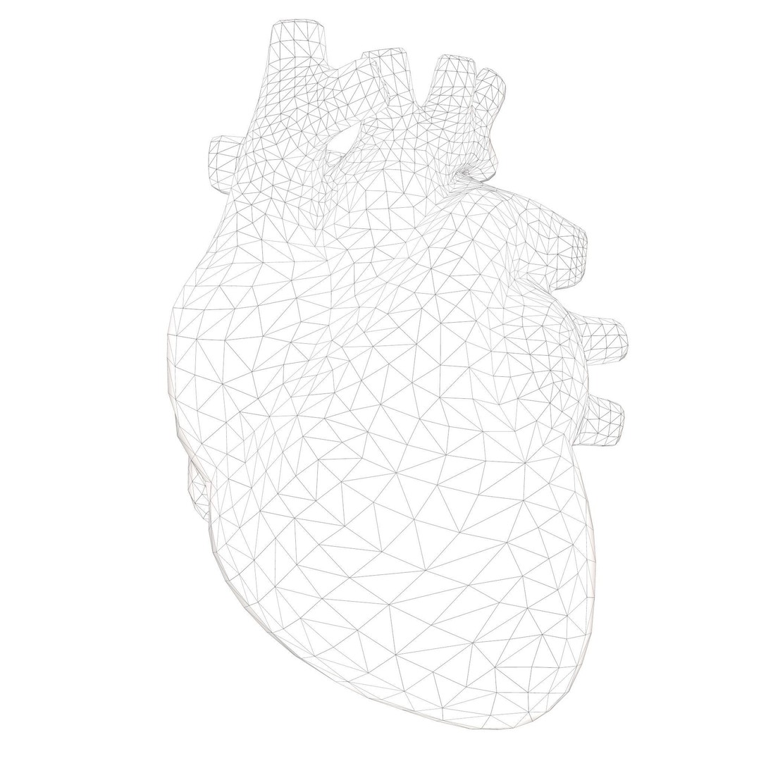 Stone Heart 3D Model – Low Poly Anatomical Character, FBX - View 7