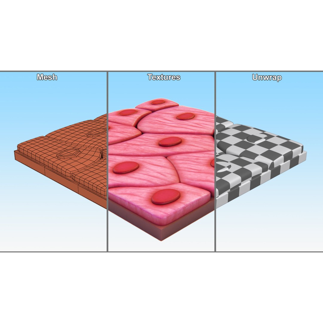 Squamous Epithelium 3D Model – High-Quality Anatomical Tissue, FBX, PBR - View 10