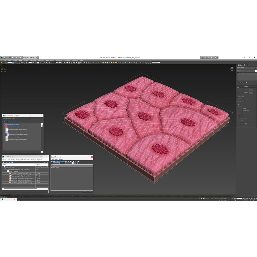 Squamous Epithelium 3D Model – High-Quality Anatomical Tissue, FBX, PBR - View 15