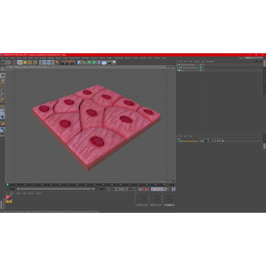 Squamous Epithelium 3D Model – High-Quality Anatomical Tissue, FBX, PBR - View 16