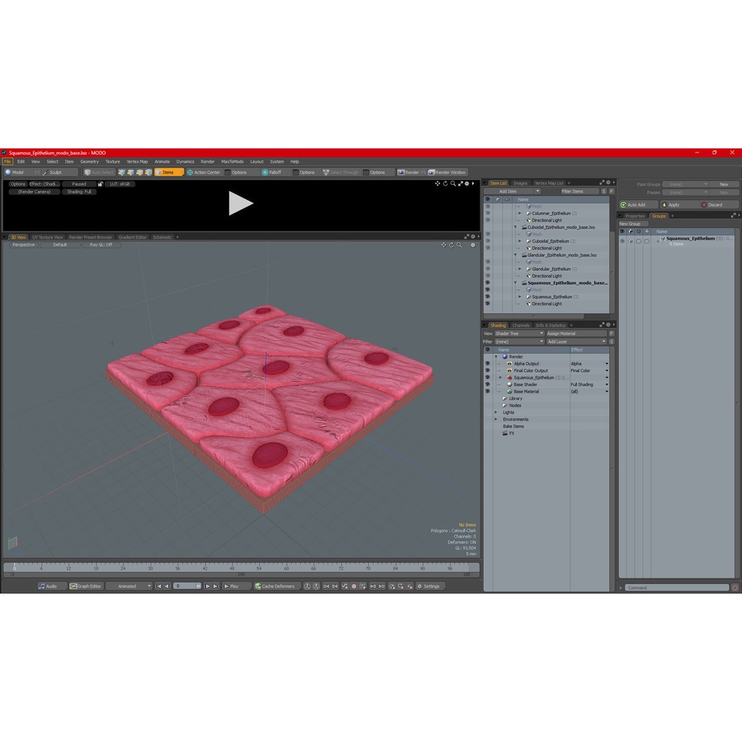 Squamous Epithelium 3D Model – High-Quality Anatomical Tissue, FBX, PBR - View 19