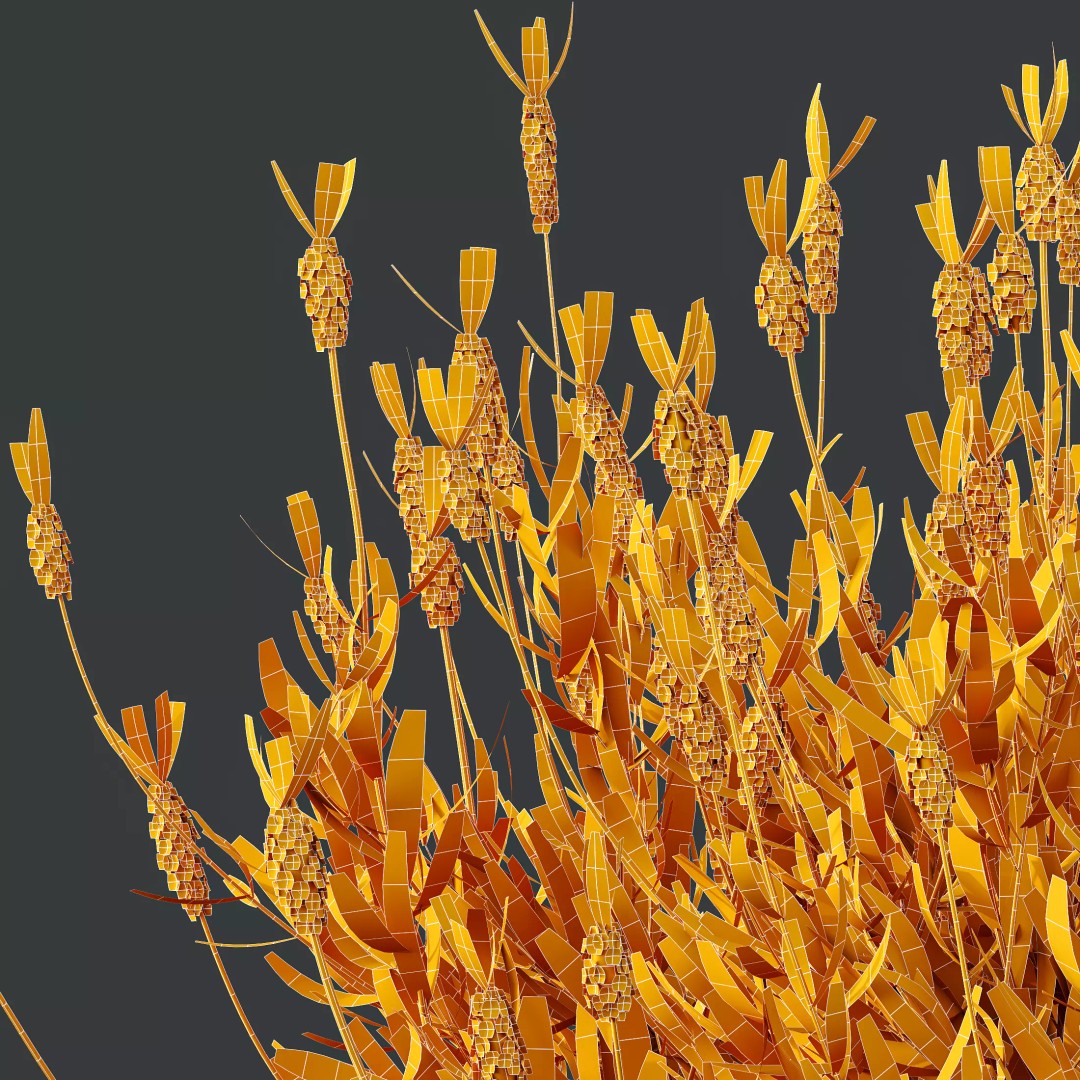 Lavandula and Ligustrum 3D Model – High Poly Plants with 4K Textures - View 11