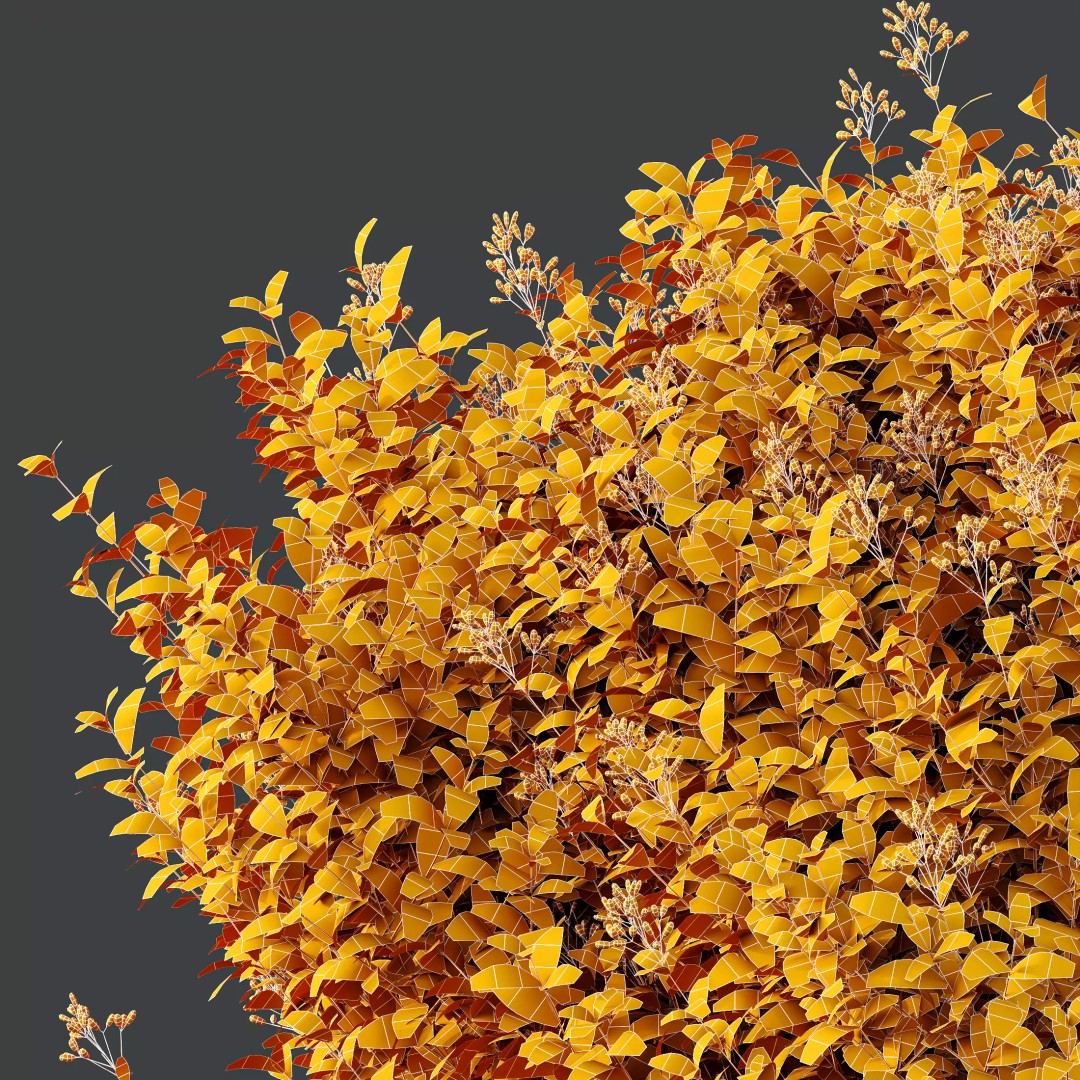 Lavandula and Ligustrum 3D Model – High Poly Plants with 4K Textures - View 12