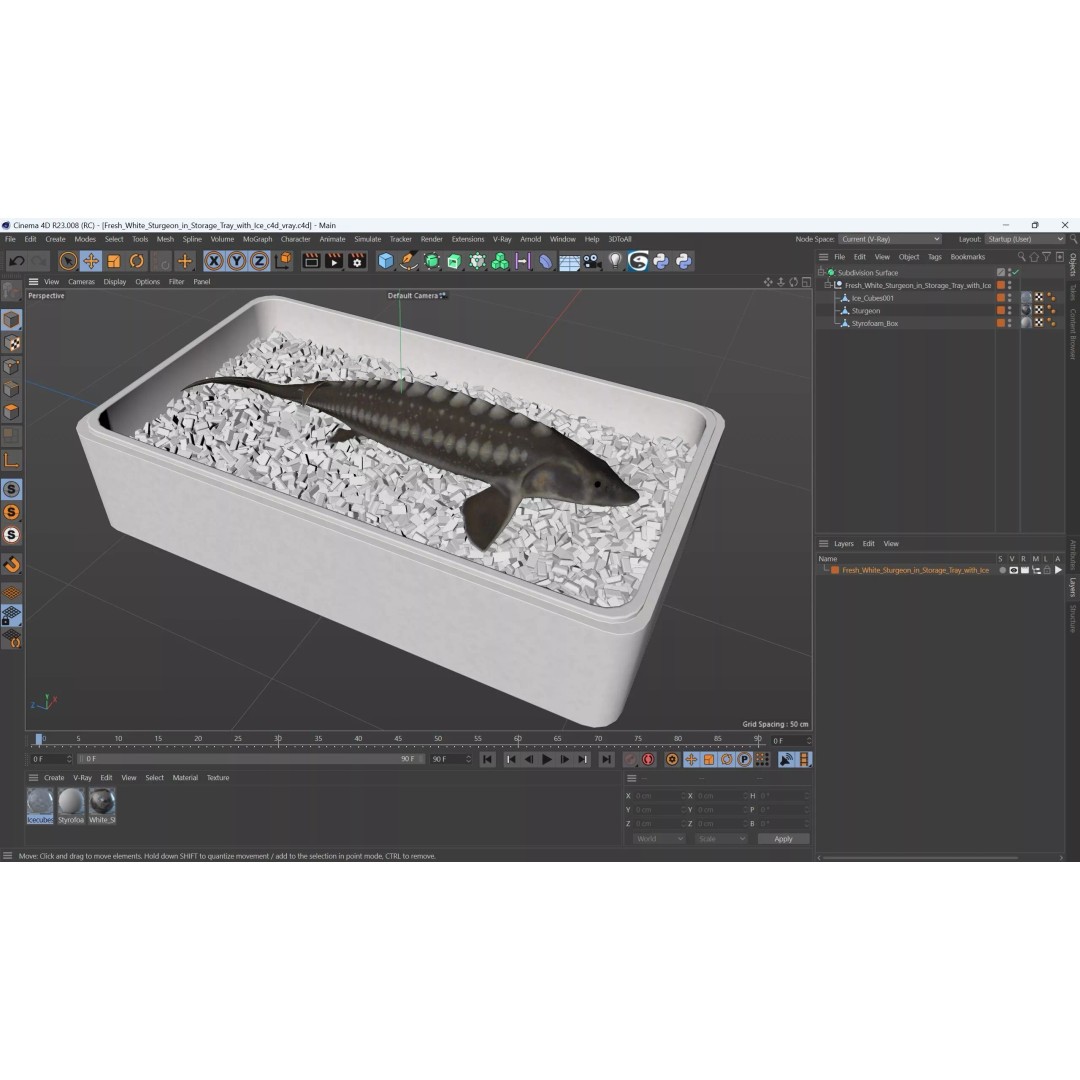 Fresh White Sturgeon 3D Model – Realistic PBR Fish in Storage Tray