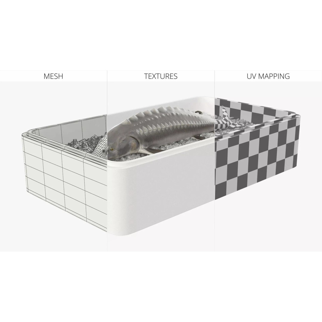 Fresh White Sturgeon 3D Model – Realistic PBR Fish in Storage Tray - View 10