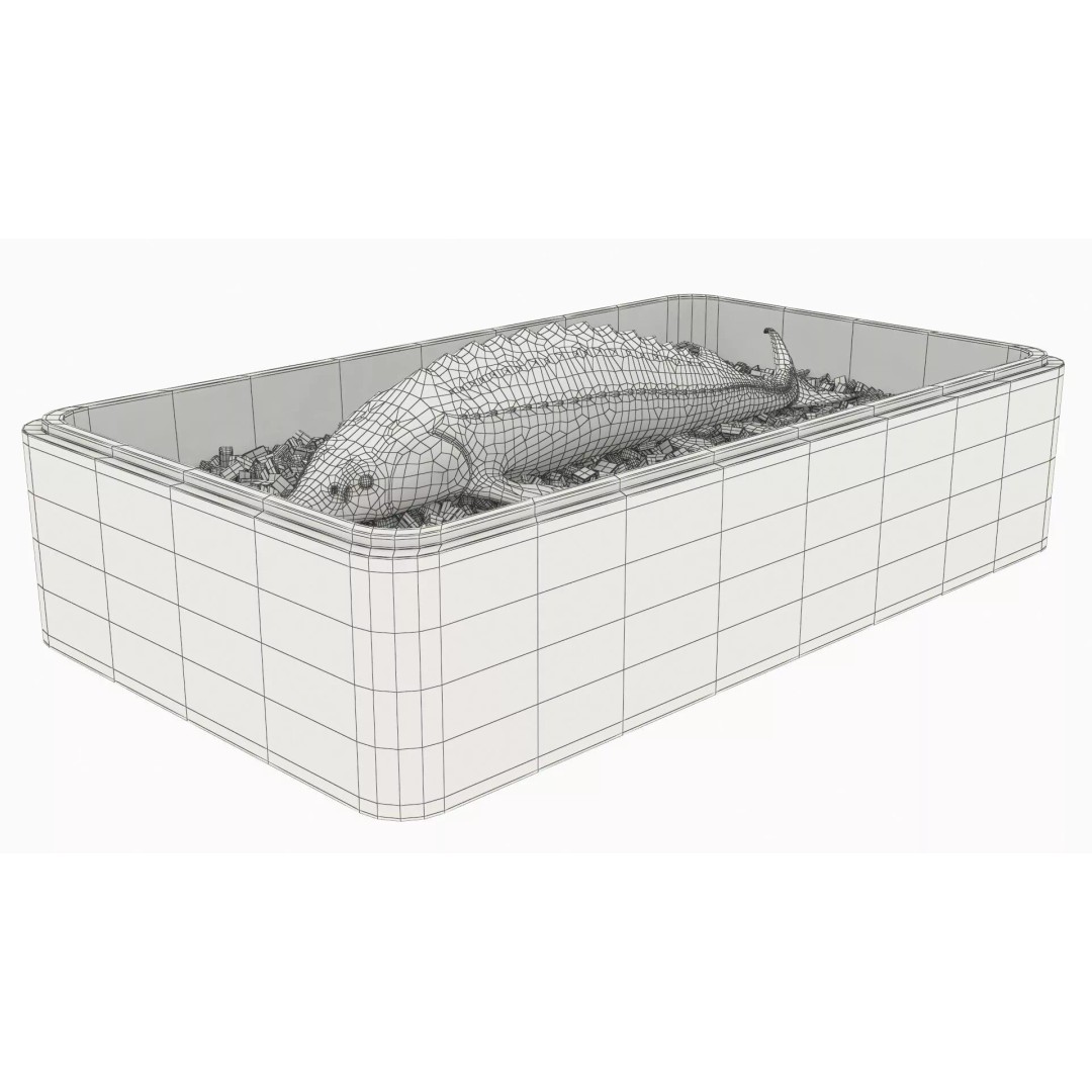 Fresh White Sturgeon 3D Model – Realistic PBR Fish in Storage Tray - View 13