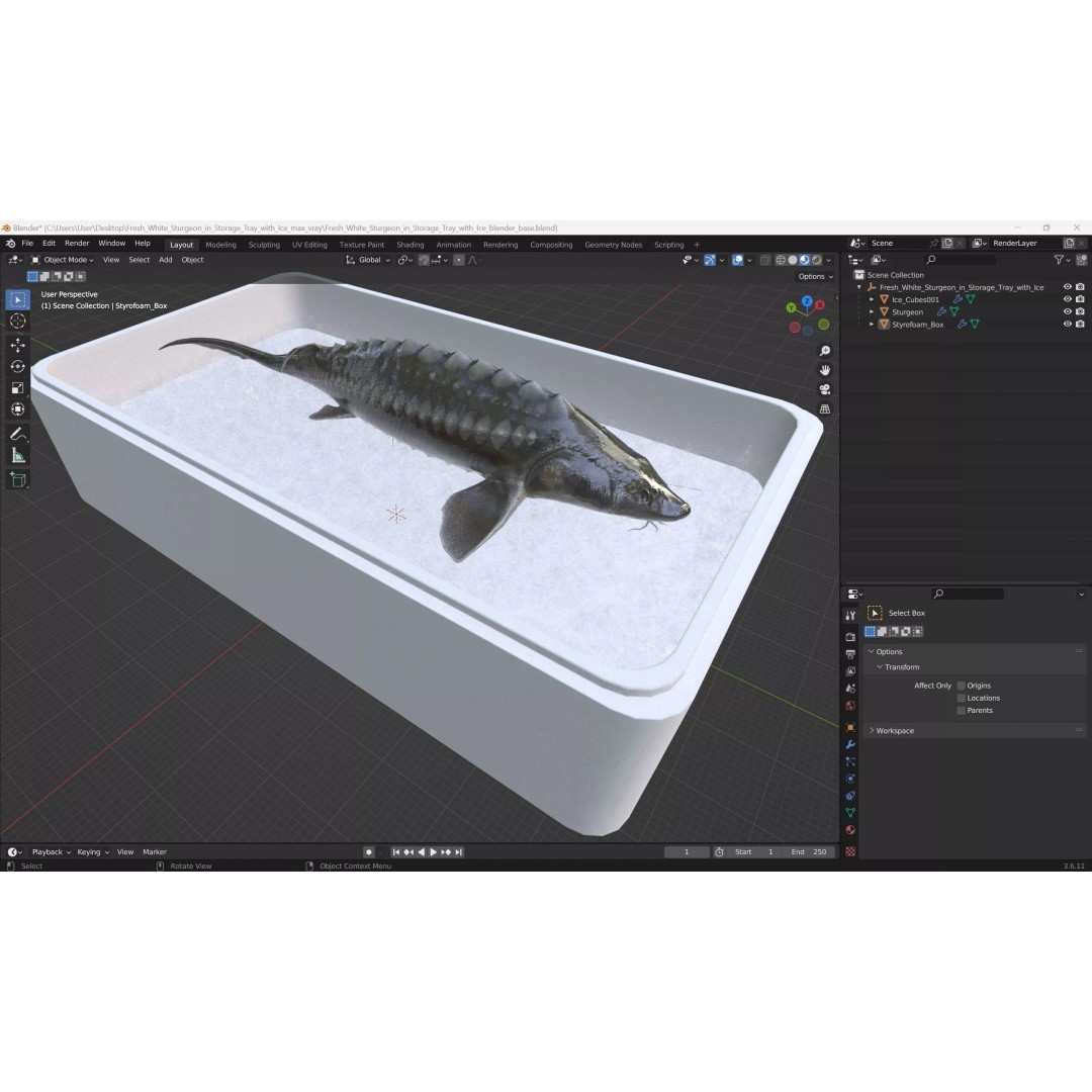 Fresh White Sturgeon 3D Model – Realistic PBR Fish in Storage Tray - View 17