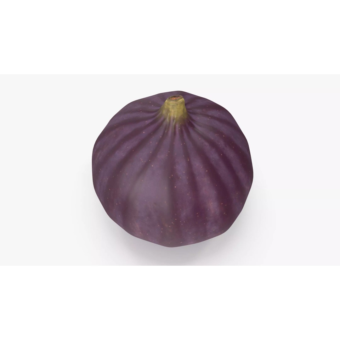 Ripe Fig Fruit 3D Model – High-Quality PBR Asset for Rendering - View 10