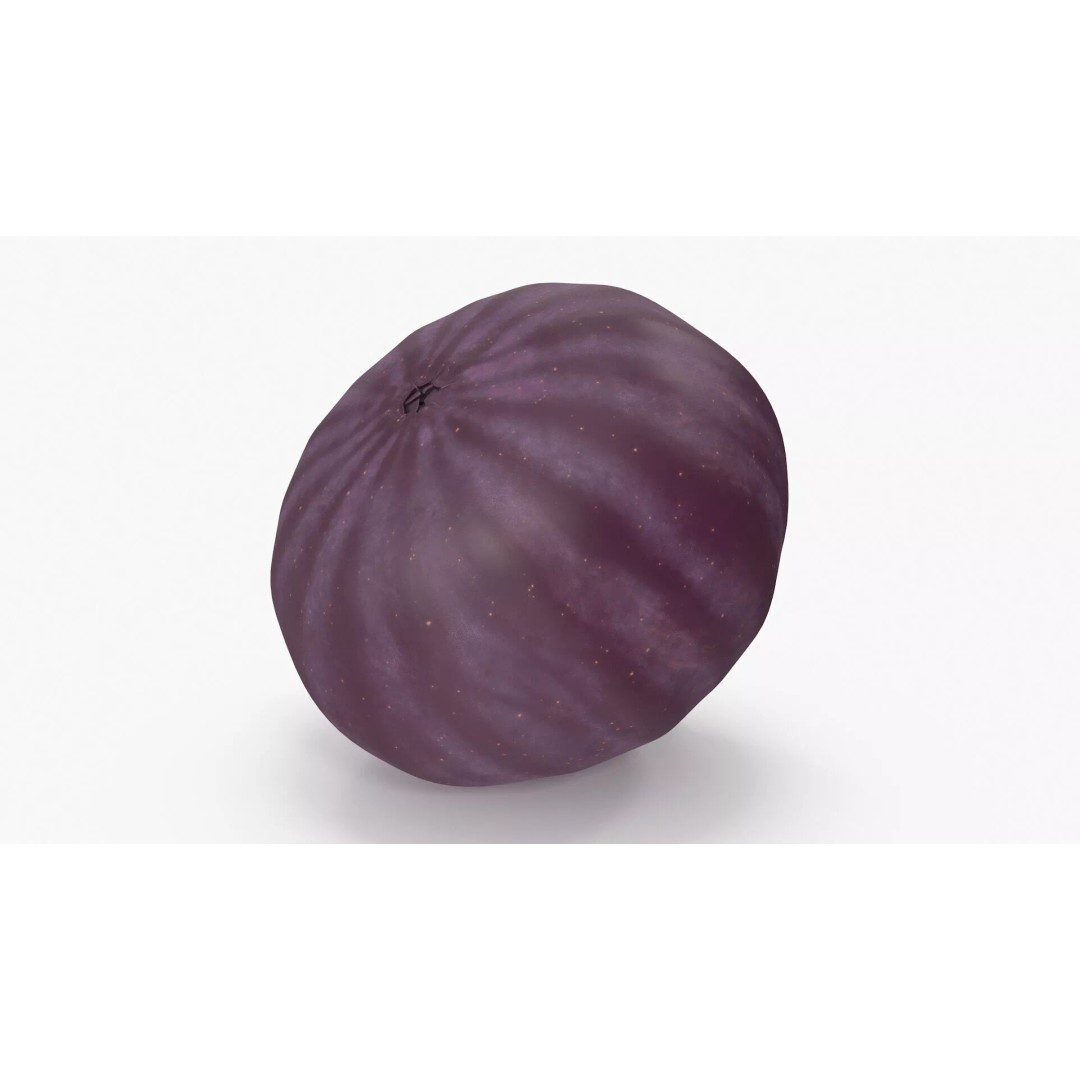 Ripe Fig Fruit 3D Model – High-Quality PBR Asset for Rendering - View 11