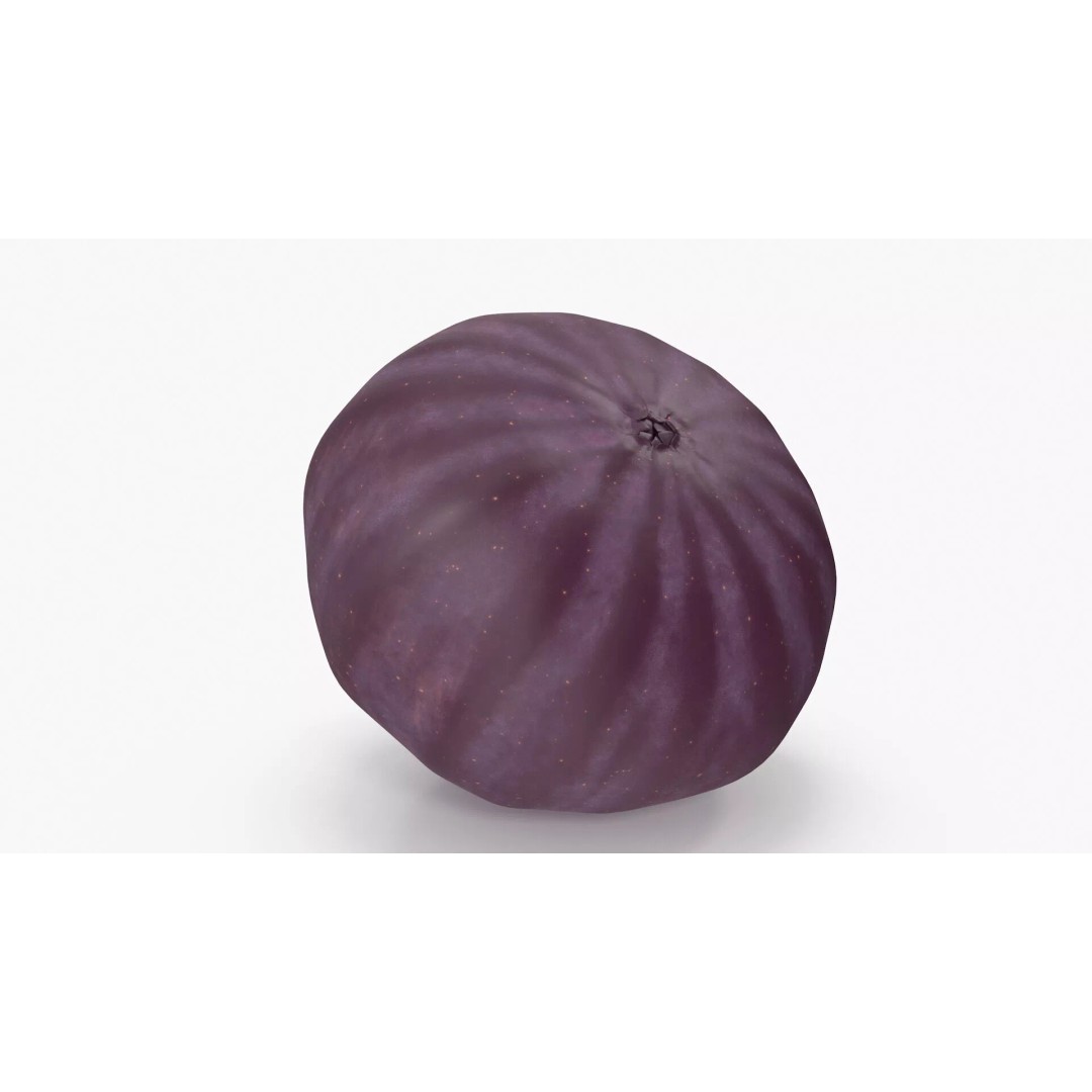 Ripe Fig Fruit 3D Model – High-Quality PBR Asset for Rendering - View 12