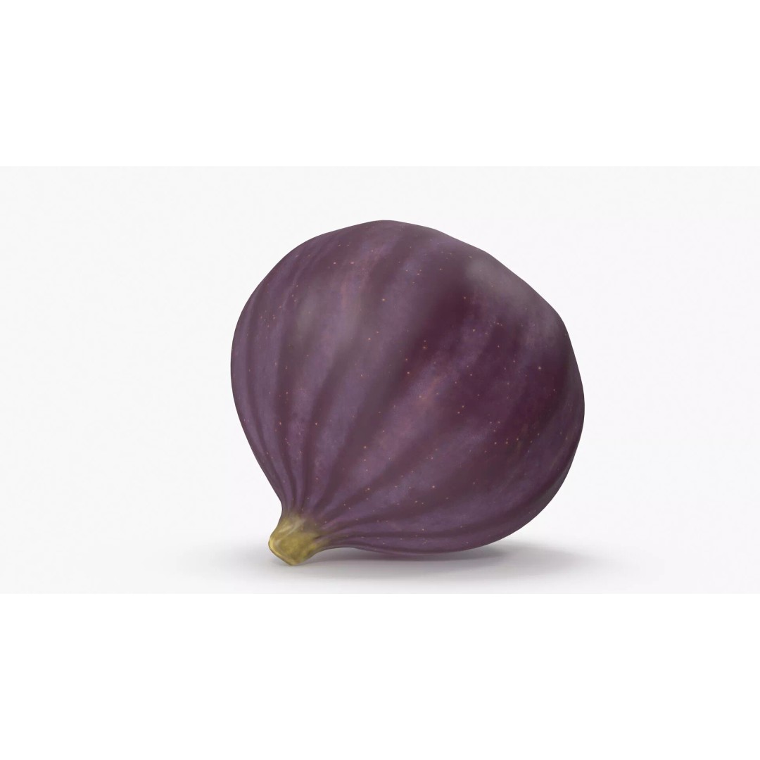 Ripe Fig Fruit 3D Model – High-Quality PBR Asset for Rendering - View 13