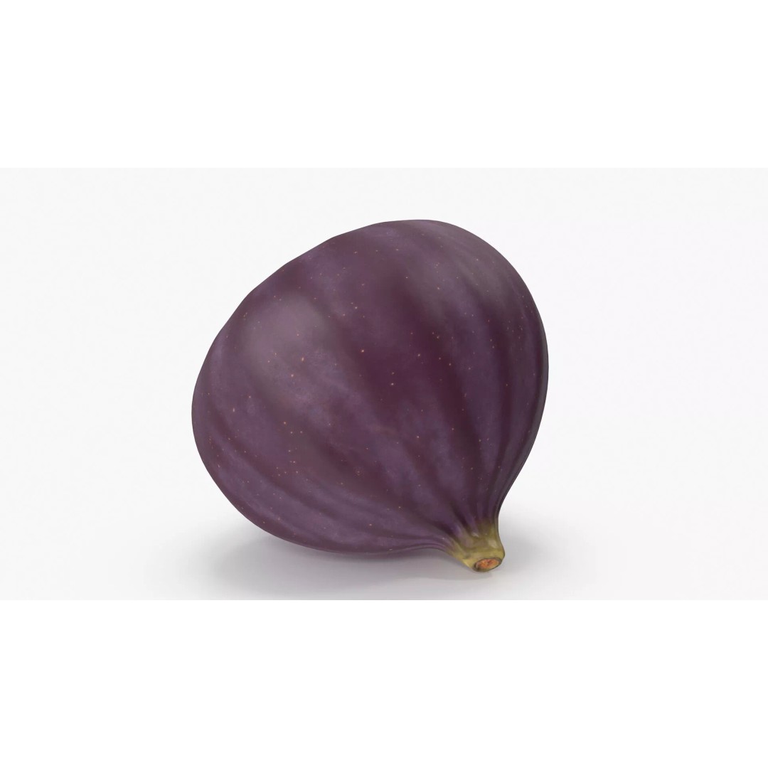 Ripe Fig Fruit 3D Model – High-Quality PBR Asset for Rendering - View 14