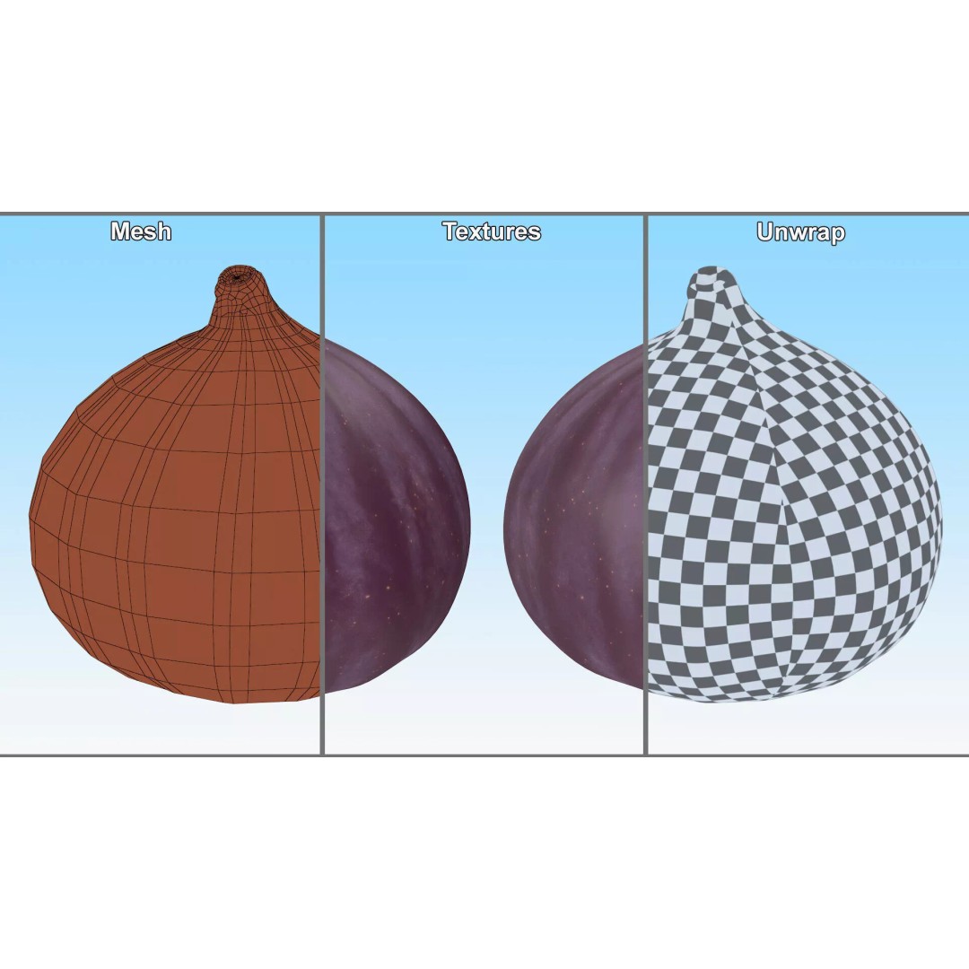 Ripe Fig Fruit 3D Model – High-Quality PBR Asset for Rendering - View 15