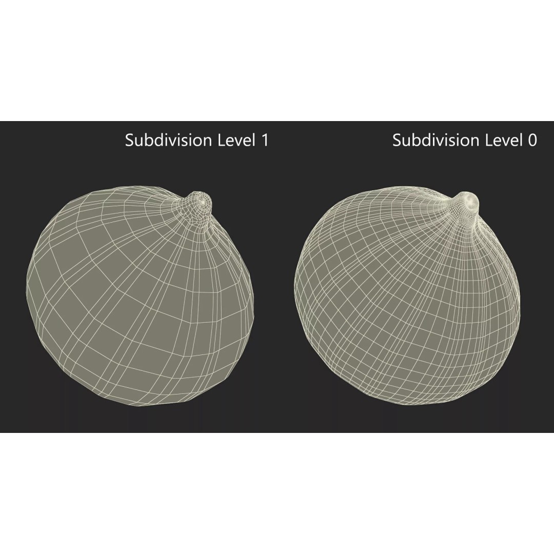 Ripe Fig Fruit 3D Model – High-Quality PBR Asset for Rendering - View 16