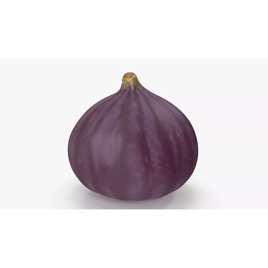 Ripe Fig Fruit 3D Model – High-Quality PBR Asset for Rendering - View 2