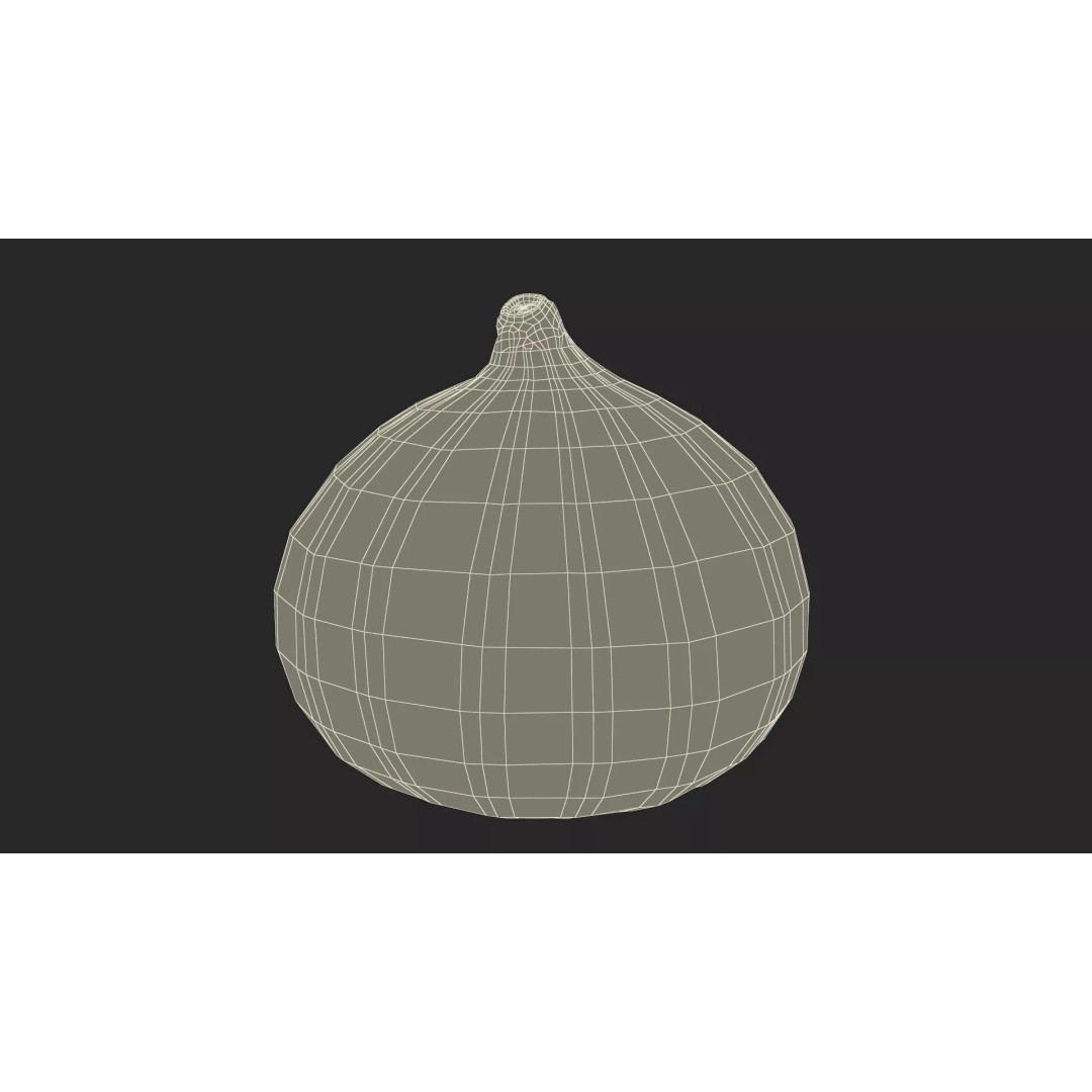 Ripe Fig Fruit 3D Model – High-Quality PBR Asset for Rendering - View 20